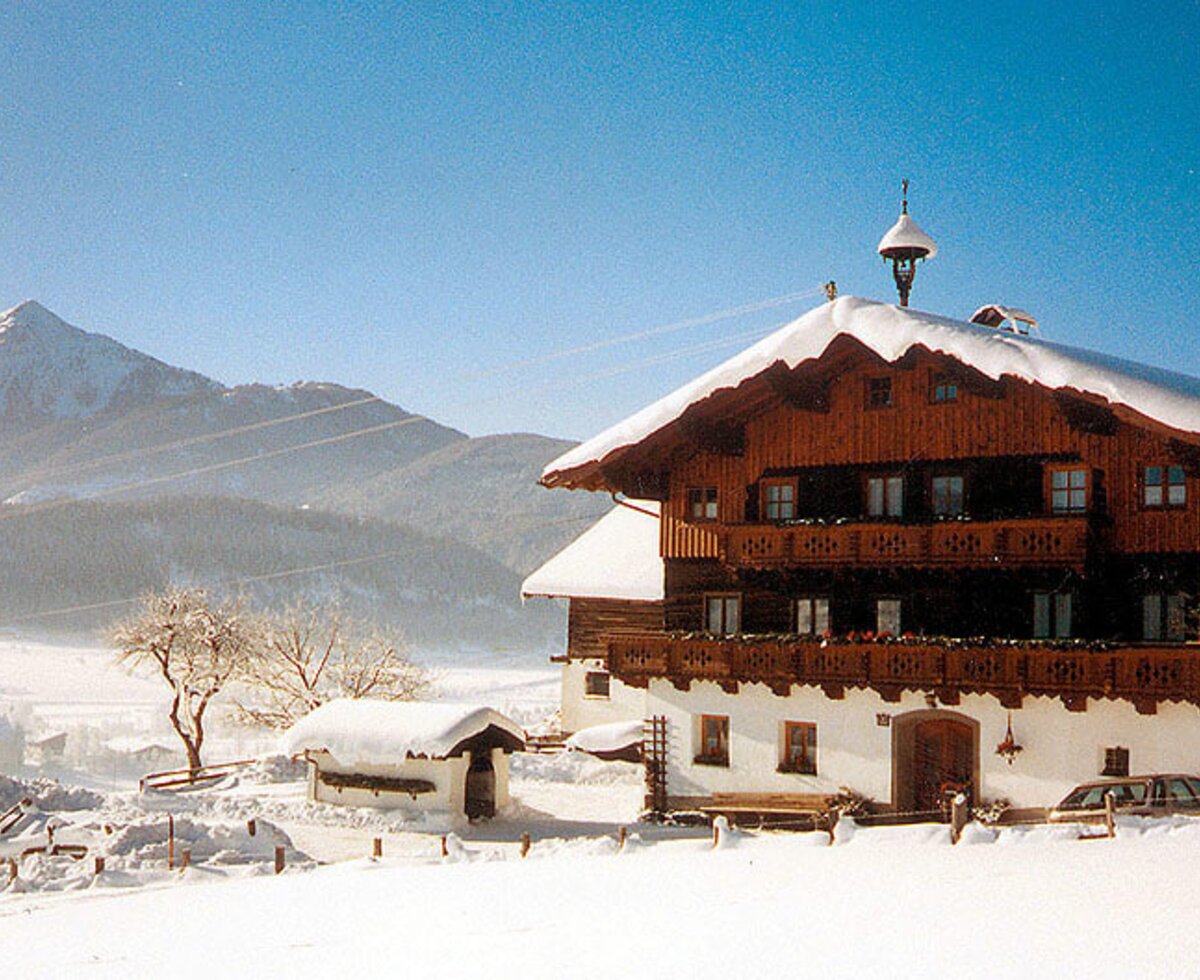 The house in winter