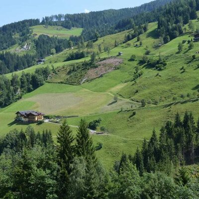 Pfandling farm in summer