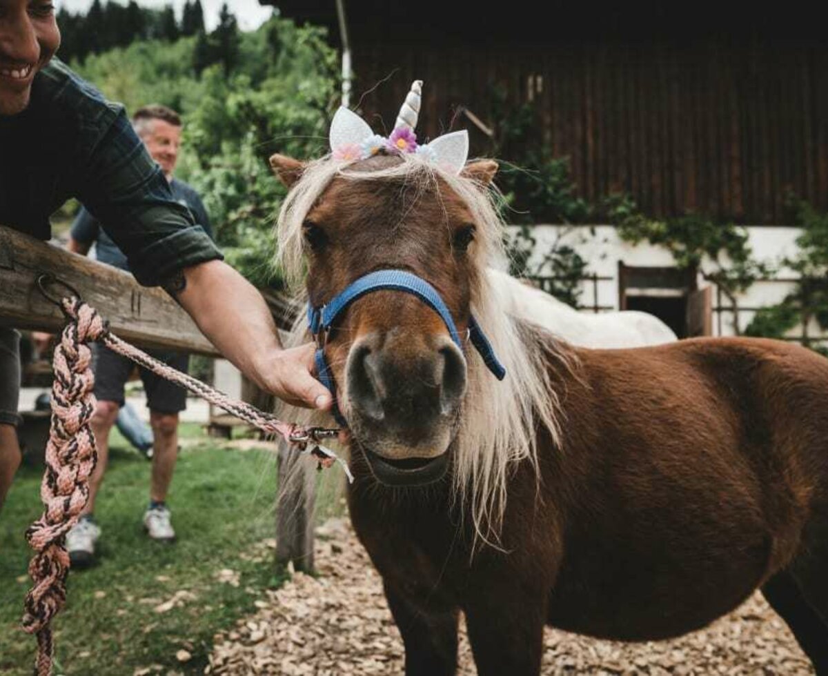 Kids horseback riding at Proneben Gut