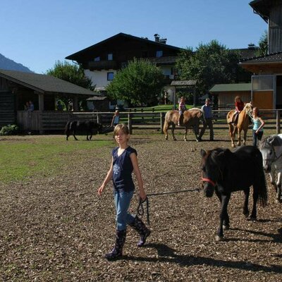 Horse parade