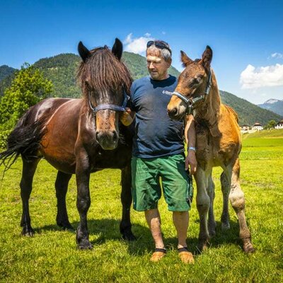 Johann with the horses