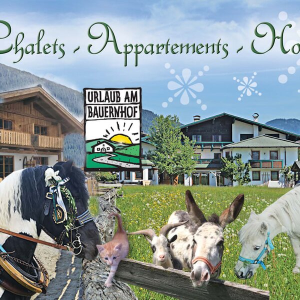 Hotel, Apartements, Chalet