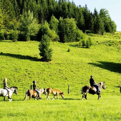 A trail ride