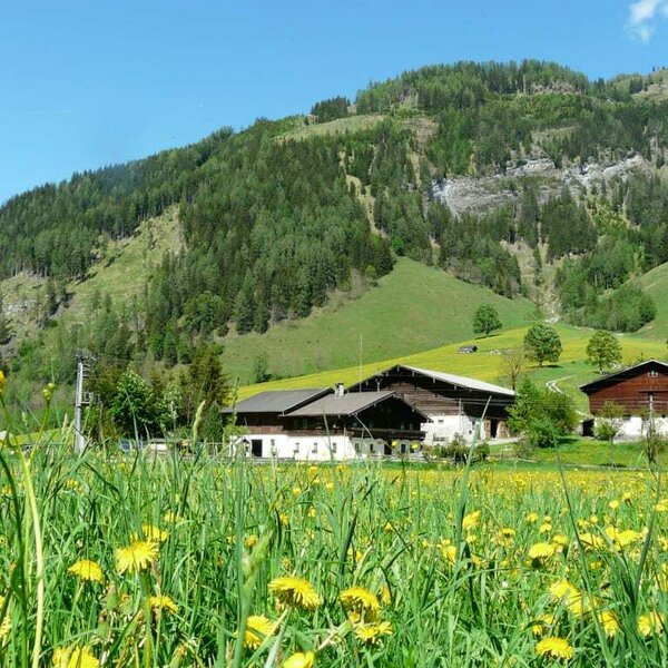 The Steinbachhof in front of the Steinbach mountain and the Steinbach wall