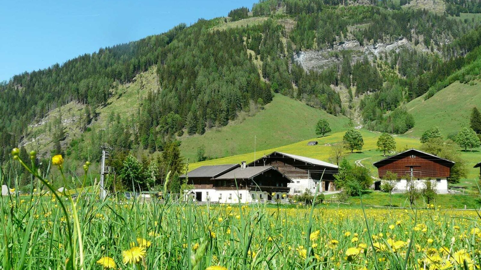 The Steinbachhof in front of the Steinbach mountain and the Steinbach wall