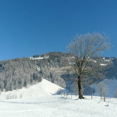 Winter at Steinbachhof