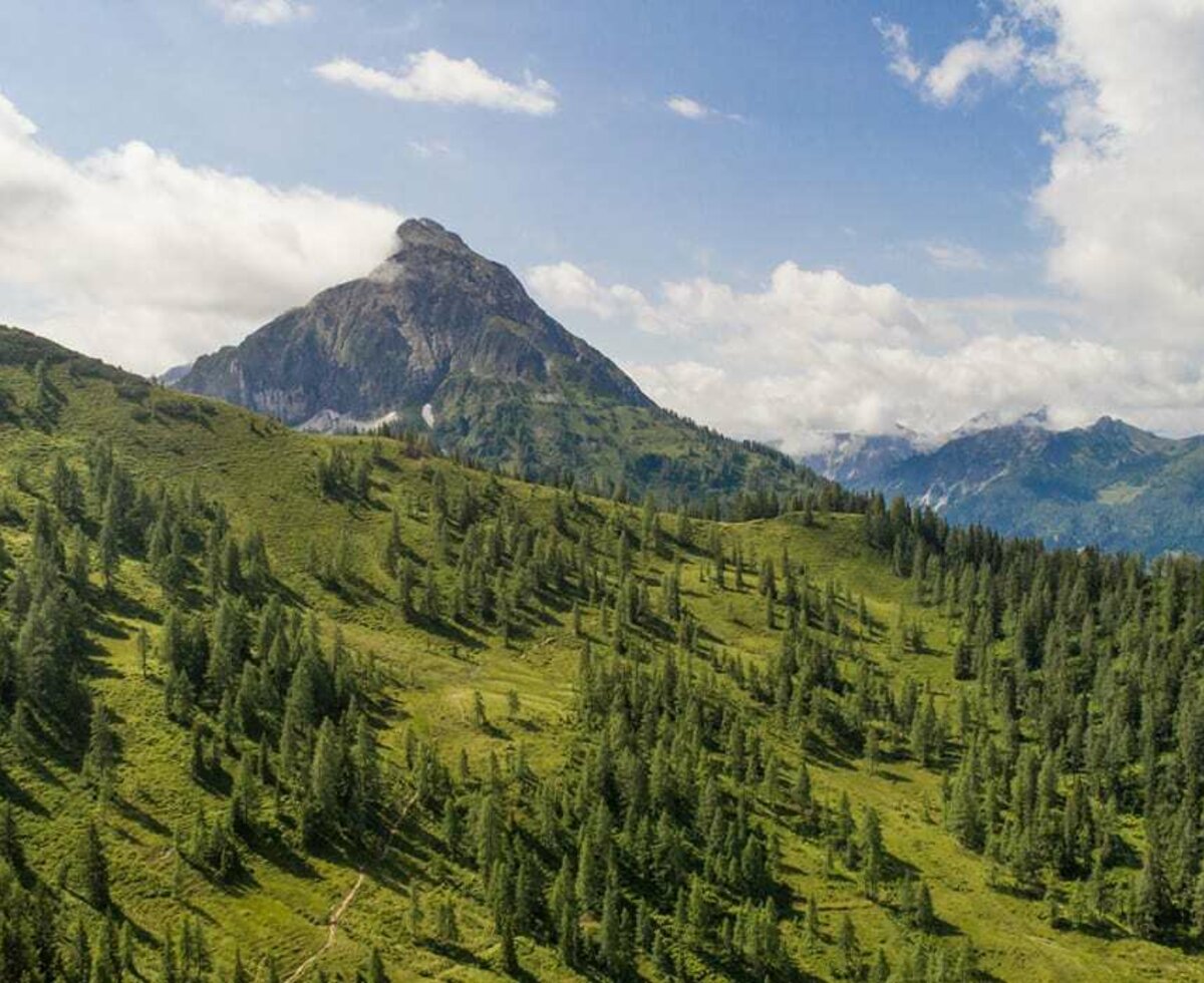 Weissenhof Alm