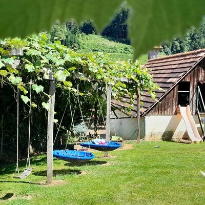 Swings under the shady pergola