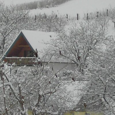 Snowy winter holidays on the farm