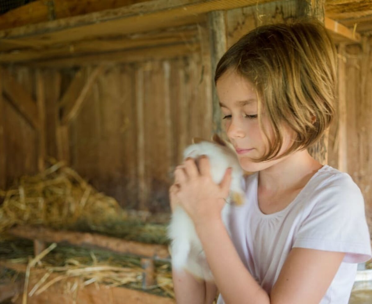 Rabbits on our farm