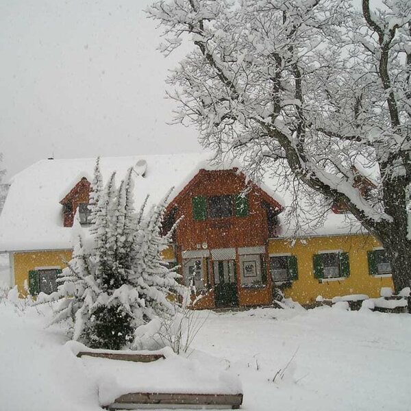 Organic Sommer farm in the snow