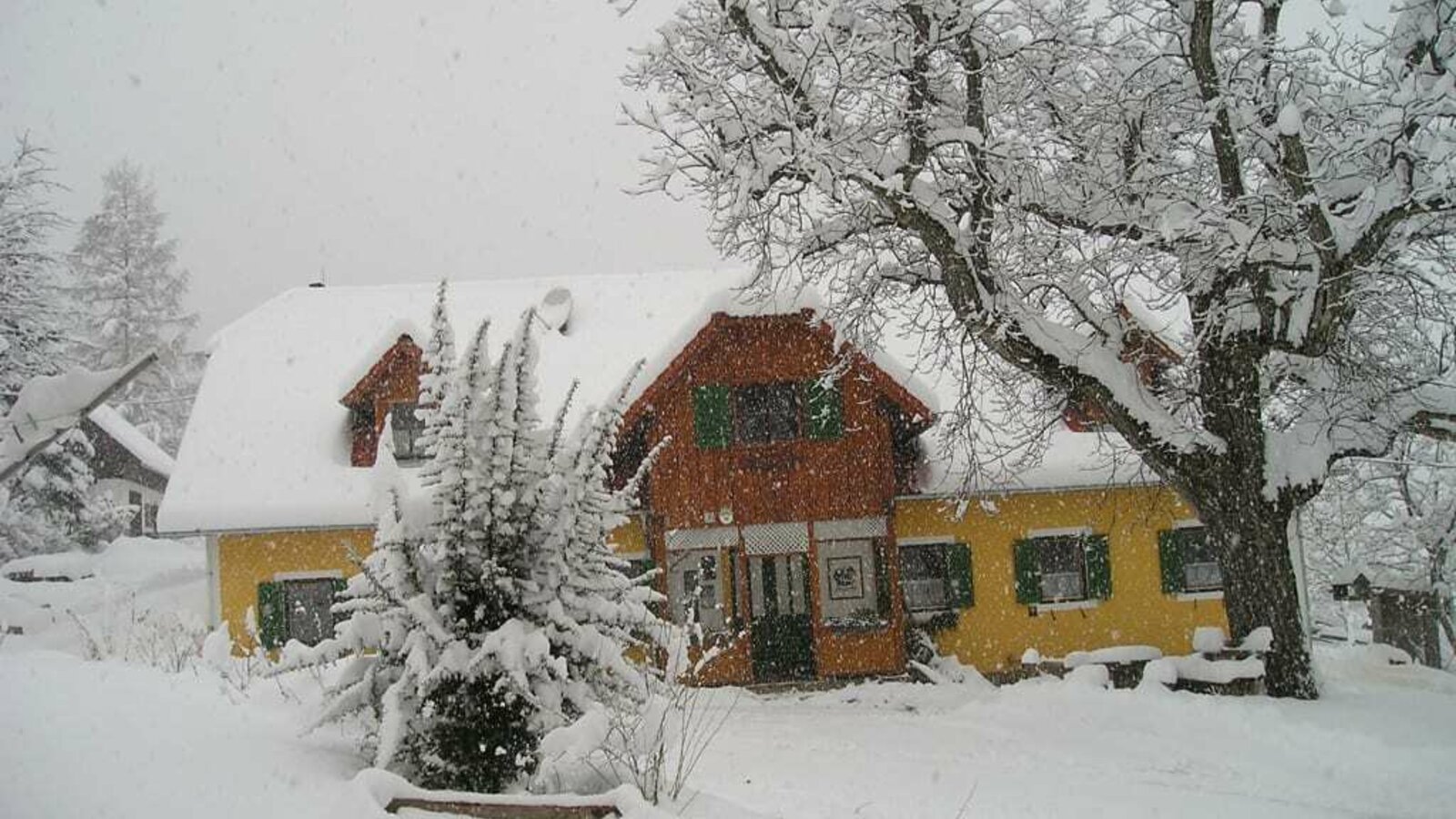 Organic Sommer farm in the snow