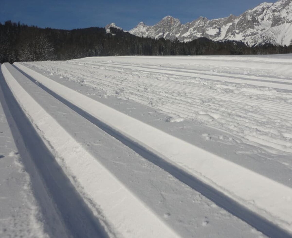 150km Cross Country trails just in front of the house