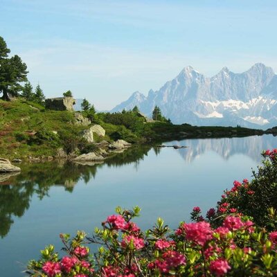 Spiegelsee with Dachstein massif