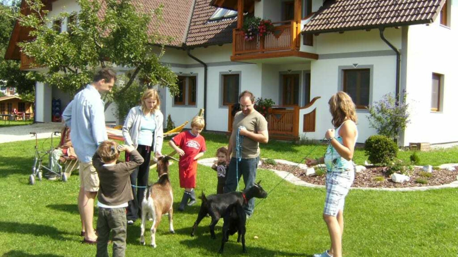 Goats and children in front of the guesthouse