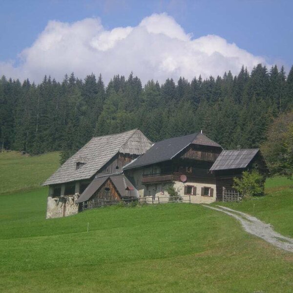 Cabin with driveway