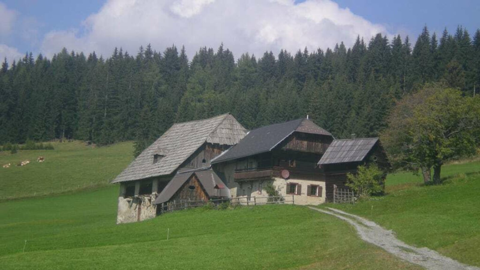 Cabin with driveway