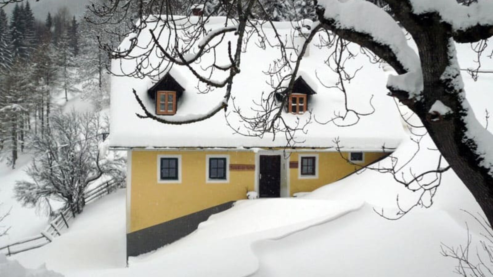 Cabin in a wintry landscape