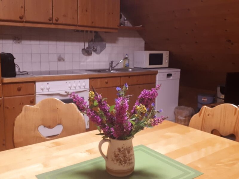 Kitchen in the appartment