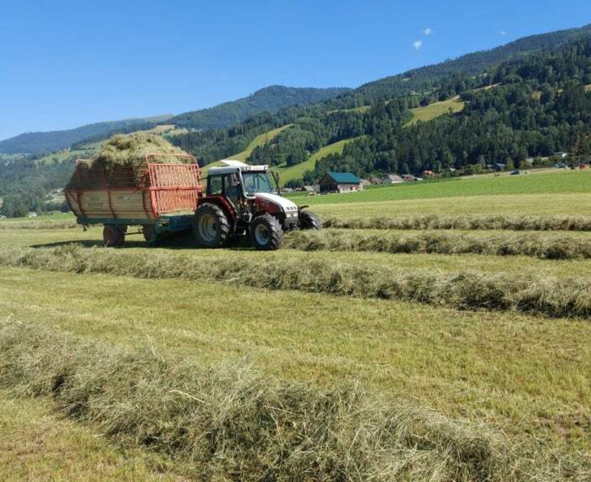 Hay harvest