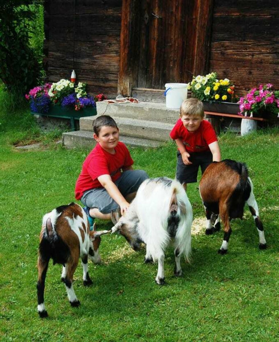 Children with the goats