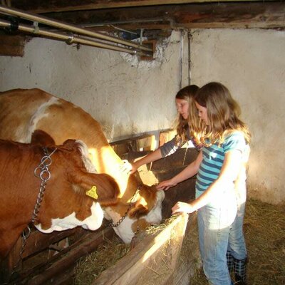 Children like to look after all of our animals