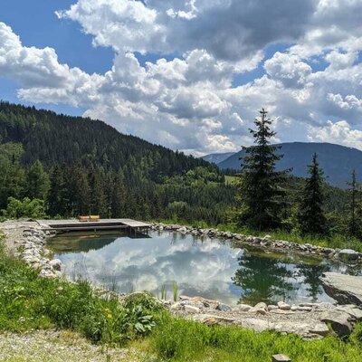 natural pool