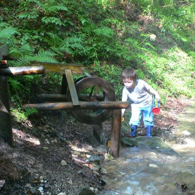 Playing at the brook