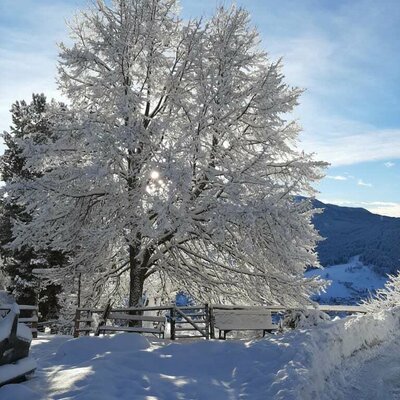 bezaubernd klare Wintertage, laden ein einen herrlichen Tag in der Natur zu verbringen