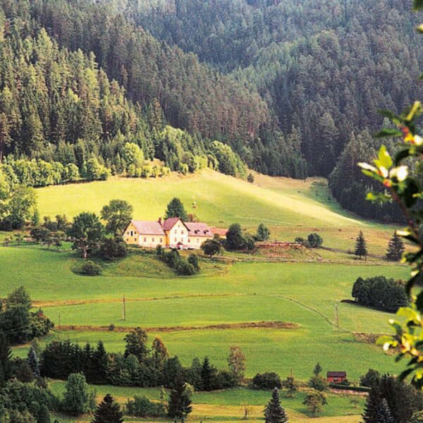 The Marx farmhouse in summertime