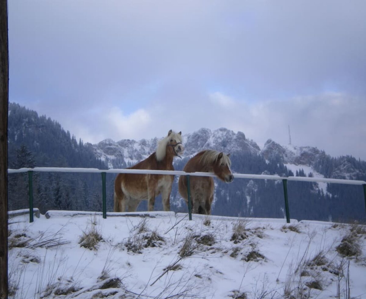 Saartje and Sientje in winter