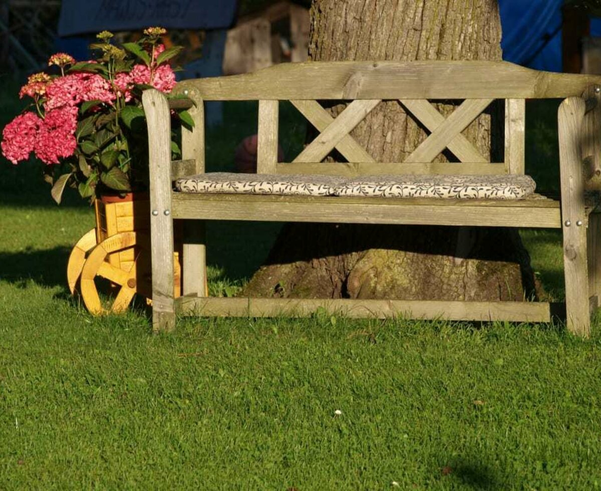 Regenerating on the farmyard bench