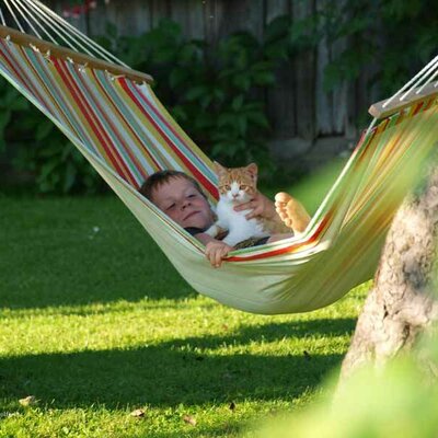 Hammock, child, cat