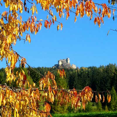 Autumn at Sperl farm