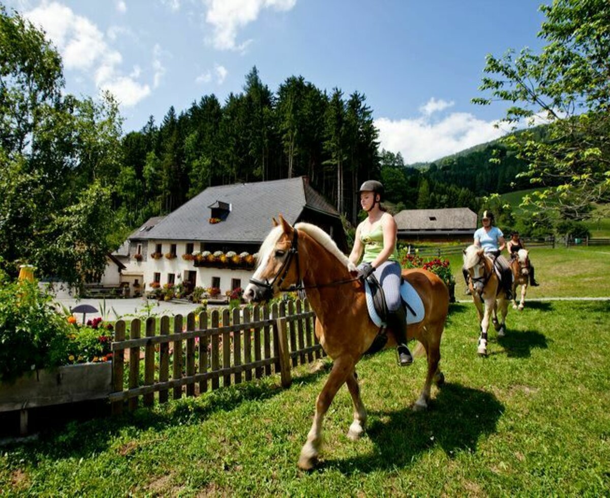 Farm with horse riding