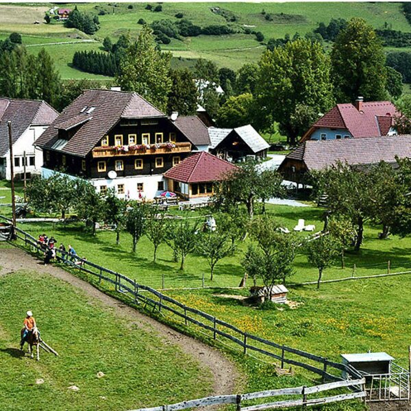 View of the riding ring, Zechnerhof riding farm, St. Georgen