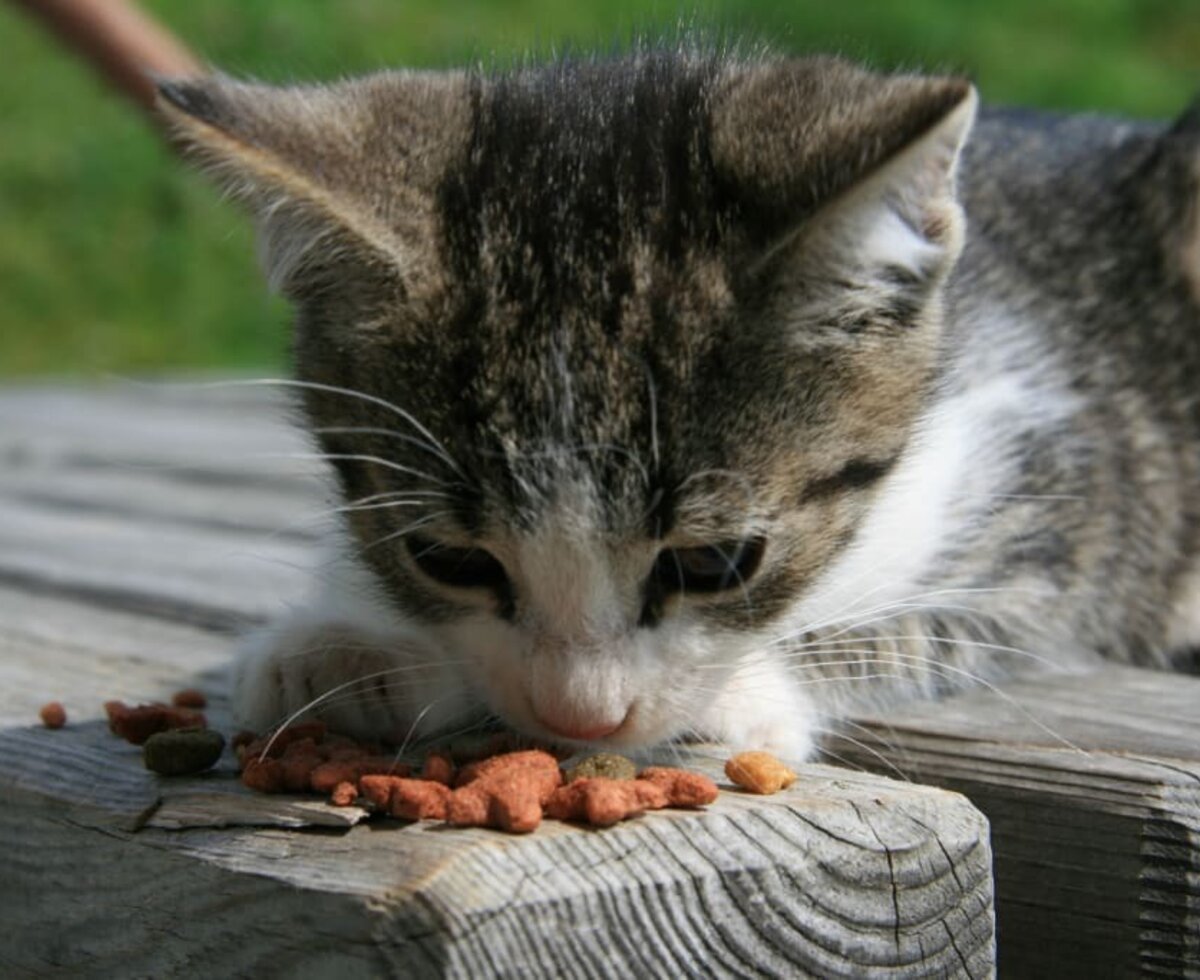 The fresh air makes you hungry