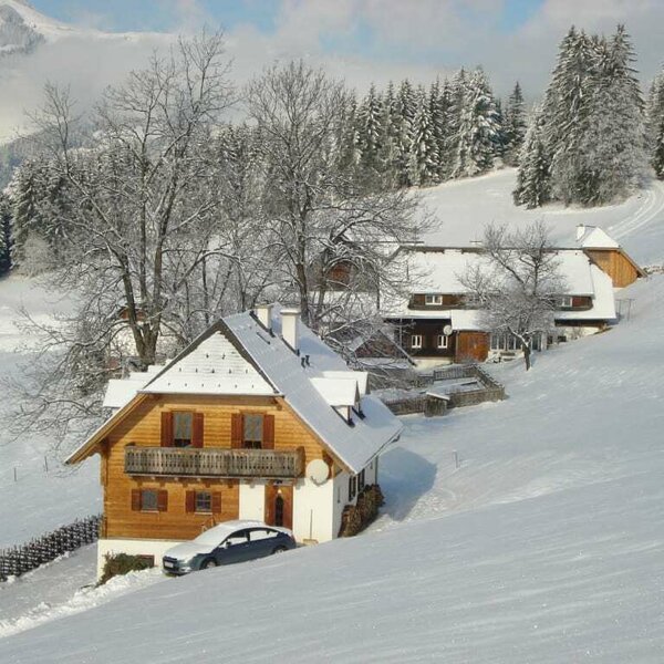 Holiday home in the background of our farmhouse