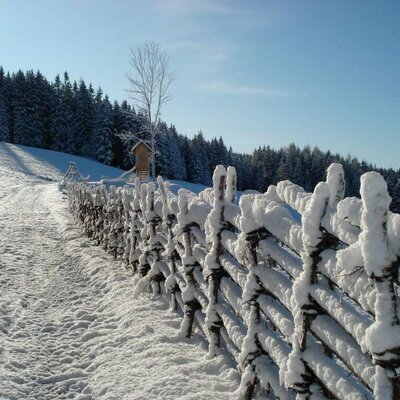 The homemade tape fences below the snowfall