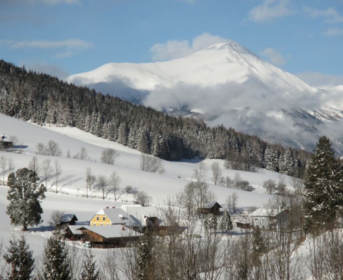 Winter - Roath-Hof and Dorferhütte