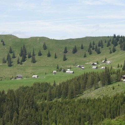 View toward the cabin village