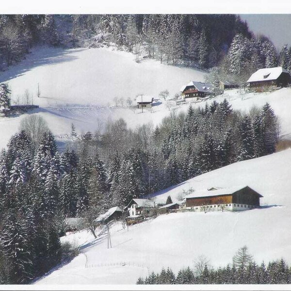 Farmyard in winter