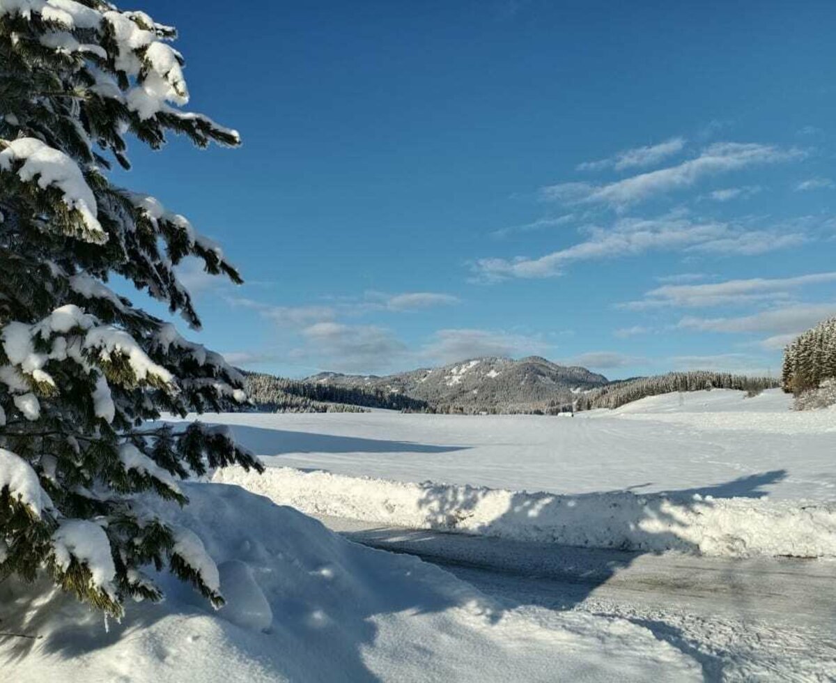 The winter landscape around the Spathof