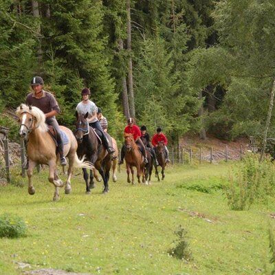 Not only the people have fun here - the horses enjoy their freedom.