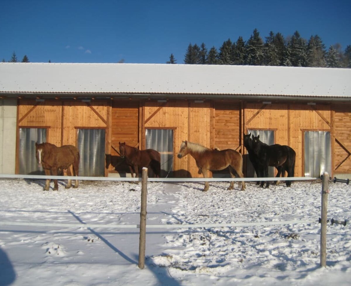 Our open stables