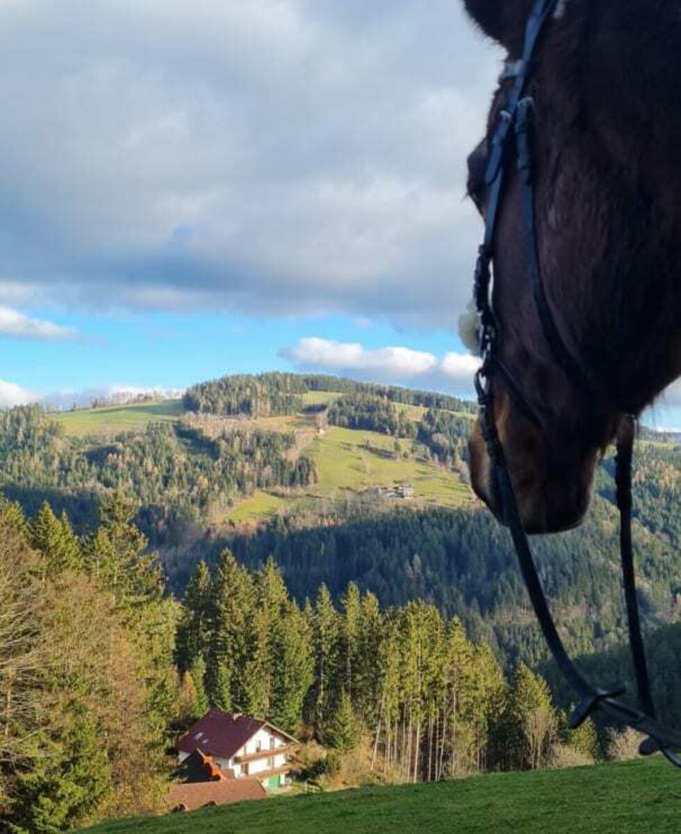 Don Dimitri with a view of our houses