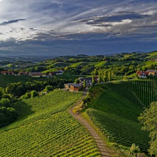 A view to the winery