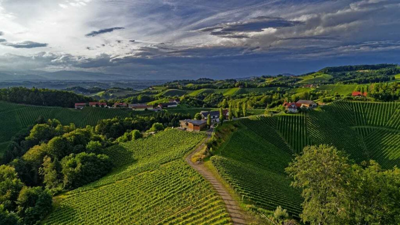 A view to the winery