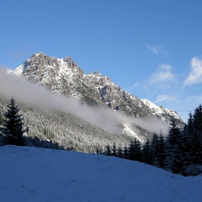 Experience nature in an eco-conscious way. Berghof am Schwand, hiking in the snow