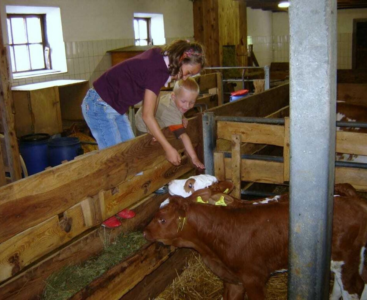 In the stable